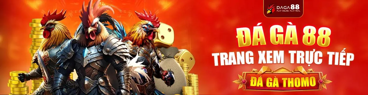 Sảnh Đá Gà ae8vip win Trực Tuyến