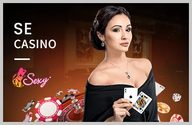 Cài đặt ứng dụng ae8vip win